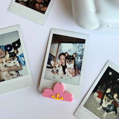 Sakura Cherry Blossom Photo Stand - Set of 2