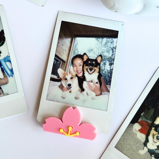 Cherry Blossom Polaroid Photo Stand - Set of 2
